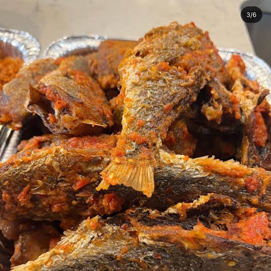 Croaker fish